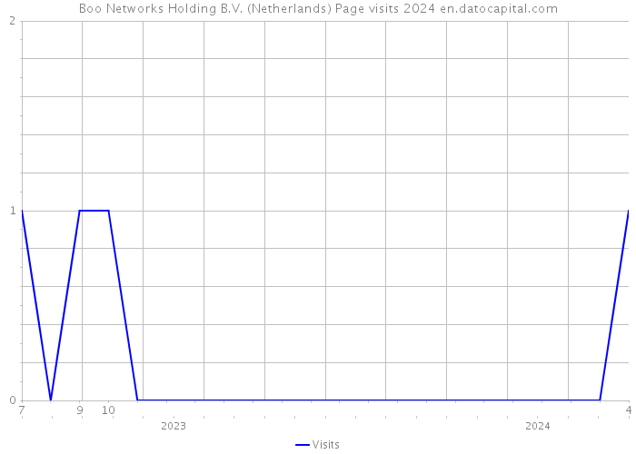 Boo Networks Holding B.V. (Netherlands) Page visits 2024 