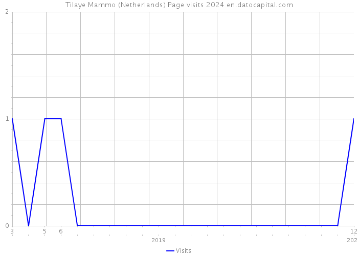 Tilaye Mammo (Netherlands) Page visits 2024 