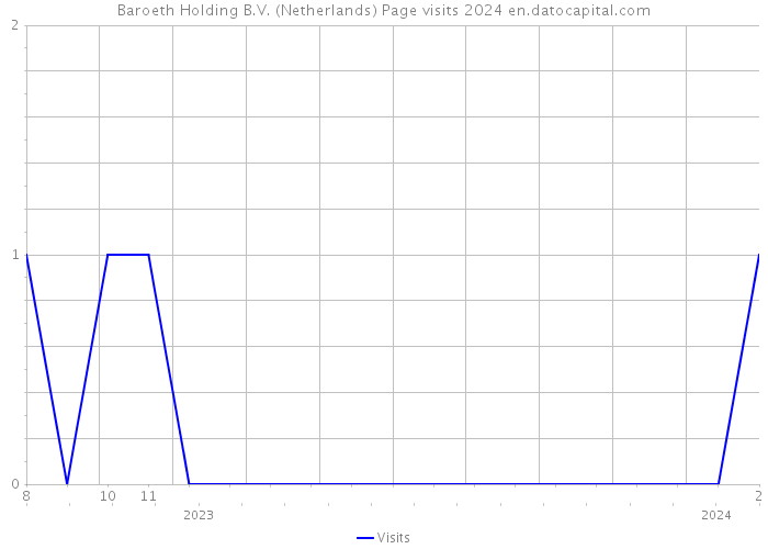 Baroeth Holding B.V. (Netherlands) Page visits 2024 