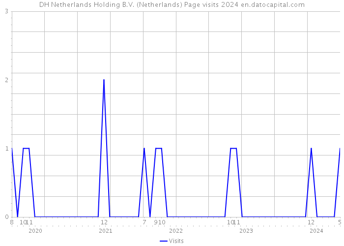 DH Netherlands Holding B.V. (Netherlands) Page visits 2024 