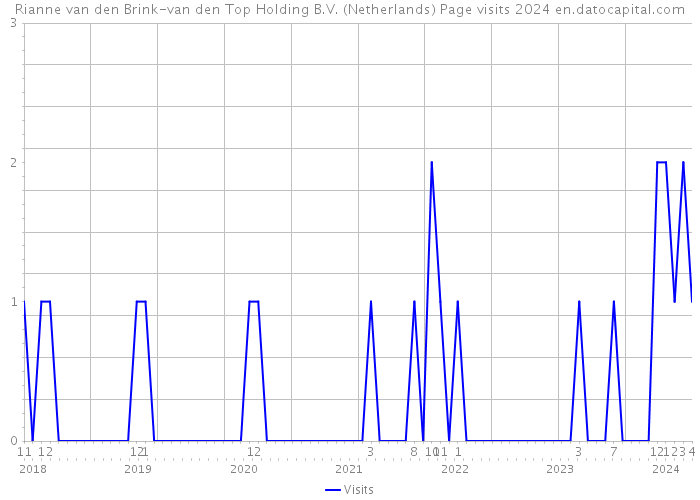 Rianne van den Brink-van den Top Holding B.V. (Netherlands) Page visits 2024 