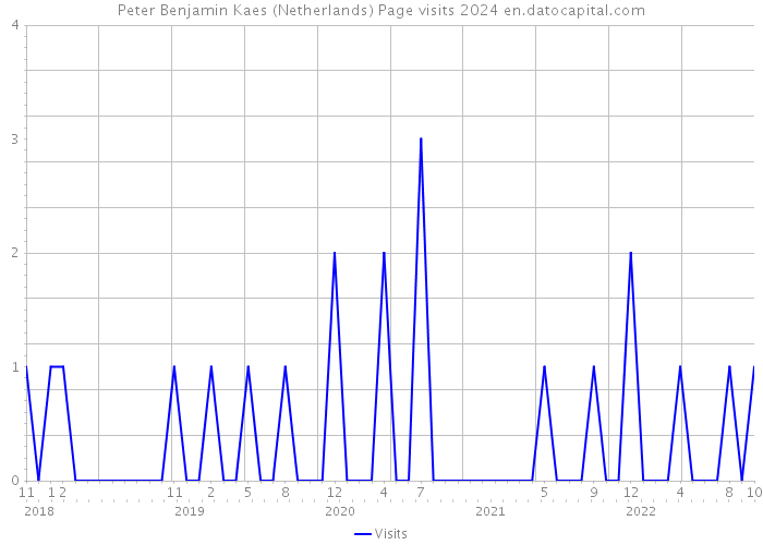 Peter Benjamin Kaes (Netherlands) Page visits 2024 