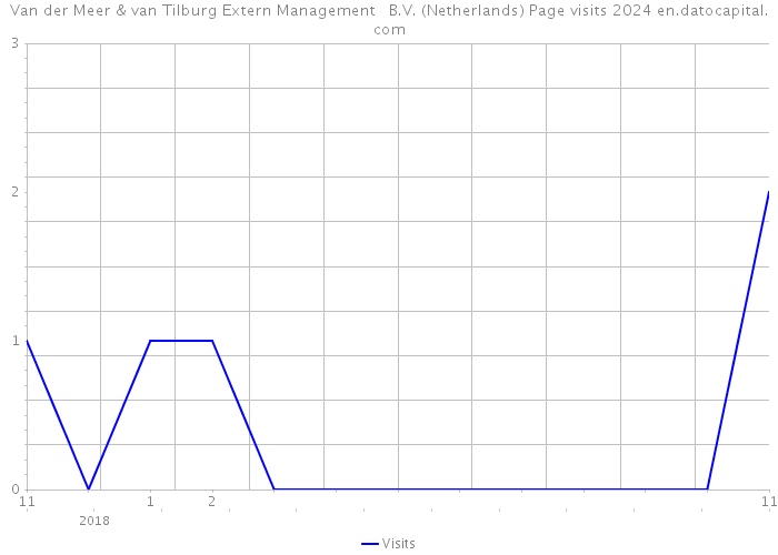 Van der Meer & van Tilburg Extern Management B.V. (Netherlands) Page visits 2024 