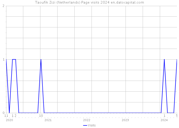Taoufik Zizi (Netherlands) Page visits 2024 