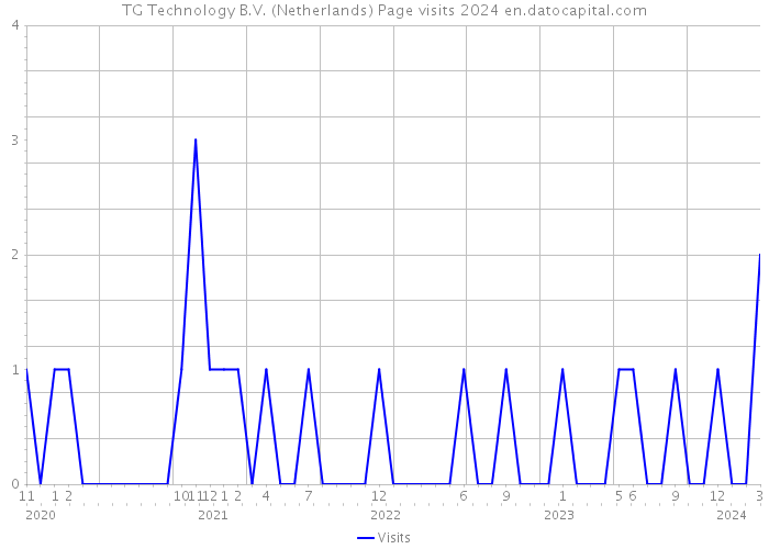 TG Technology B.V. (Netherlands) Page visits 2024 