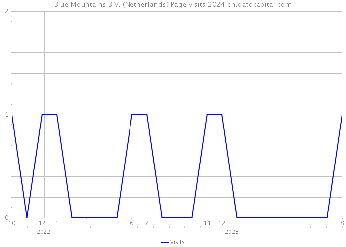 Blue Mountains B.V. (Netherlands) Page visits 2024 