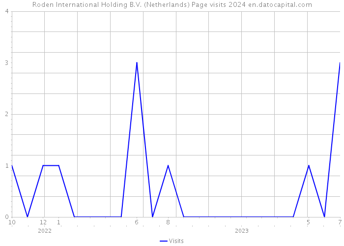 Roden International Holding B.V. (Netherlands) Page visits 2024 