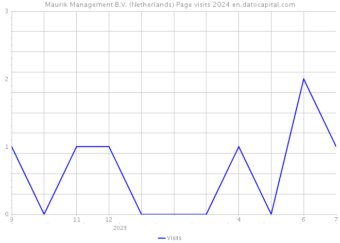 Maurik Management B.V. (Netherlands) Page visits 2024 