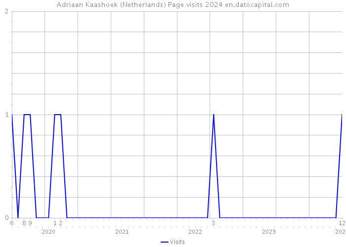 Adriaan Kaashoek (Netherlands) Page visits 2024 