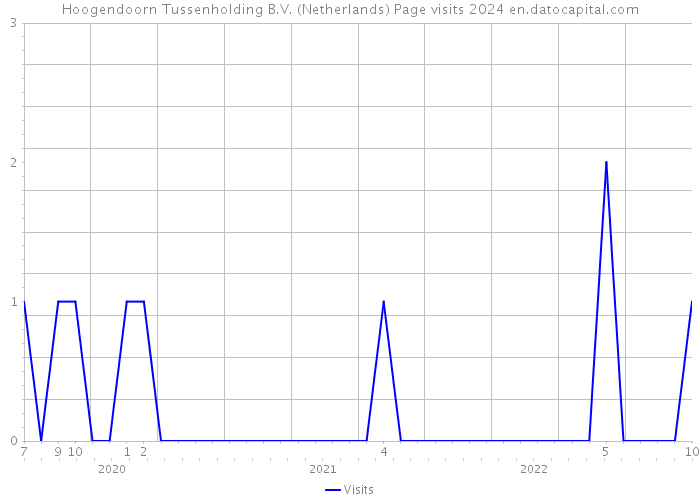 Hoogendoorn Tussenholding B.V. (Netherlands) Page visits 2024 