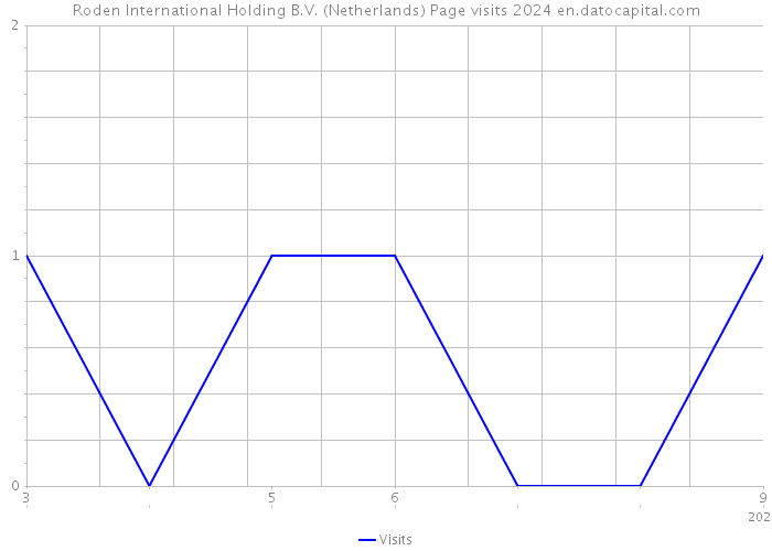 Roden International Holding B.V. (Netherlands) Page visits 2024 