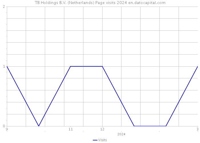 TB Holdings B.V. (Netherlands) Page visits 2024 