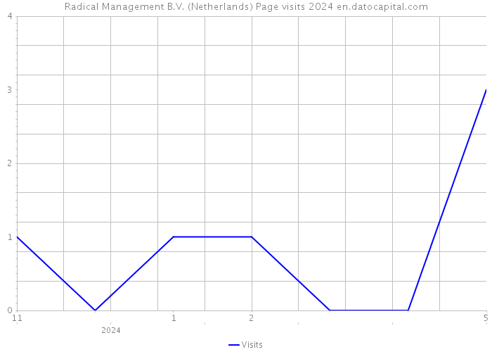 Radical Management B.V. (Netherlands) Page visits 2024 