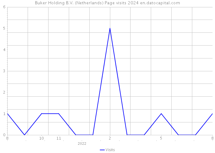 Buker Holding B.V. (Netherlands) Page visits 2024 