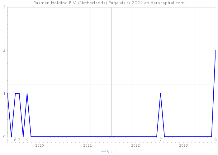 Pasman Holding B.V. (Netherlands) Page visits 2024 