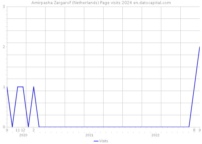 Amirpasha Zargarof (Netherlands) Page visits 2024 