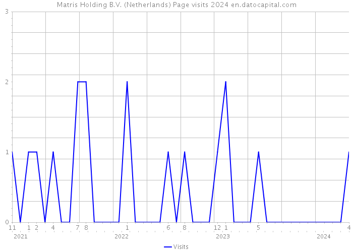 Matris Holding B.V. (Netherlands) Page visits 2024 