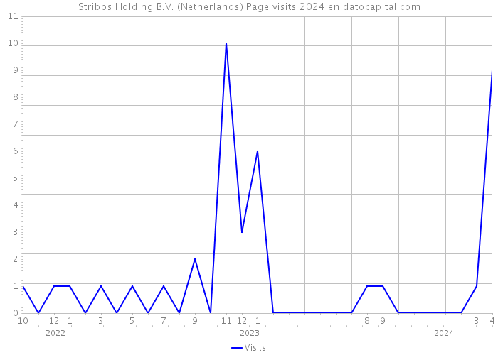 Stribos Holding B.V. (Netherlands) Page visits 2024 