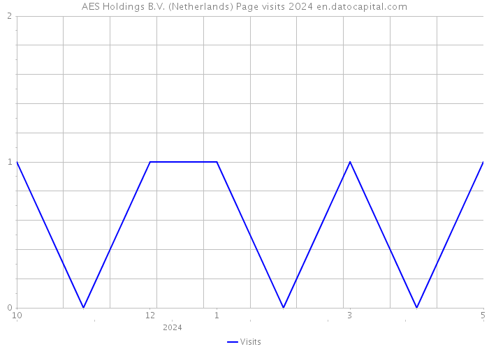 AES Holdings B.V. (Netherlands) Page visits 2024 