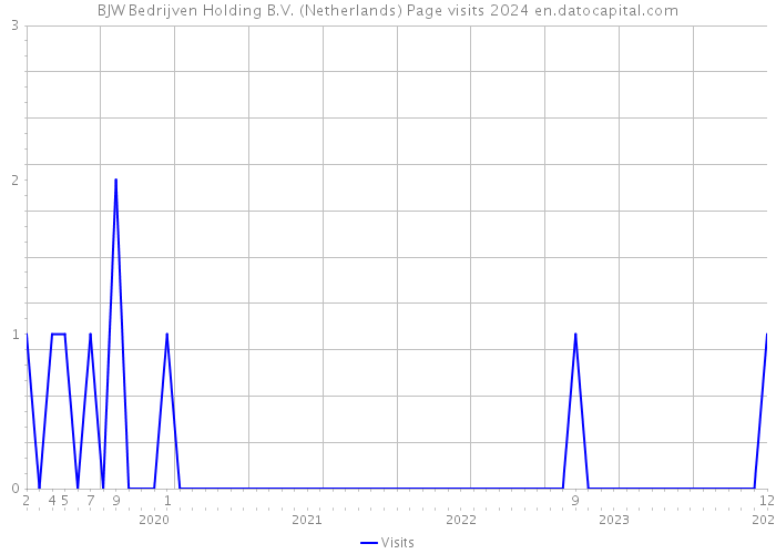 BJW Bedrijven Holding B.V. (Netherlands) Page visits 2024 