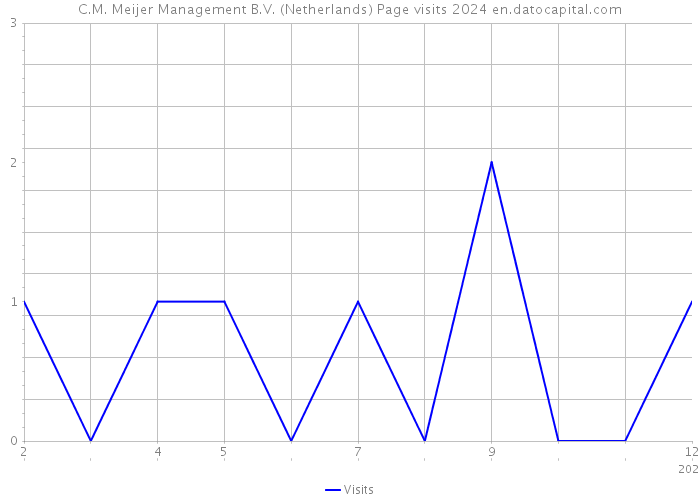 C.M. Meijer Management B.V. (Netherlands) Page visits 2024 