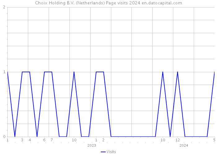 Choix Holding B.V. (Netherlands) Page visits 2024 