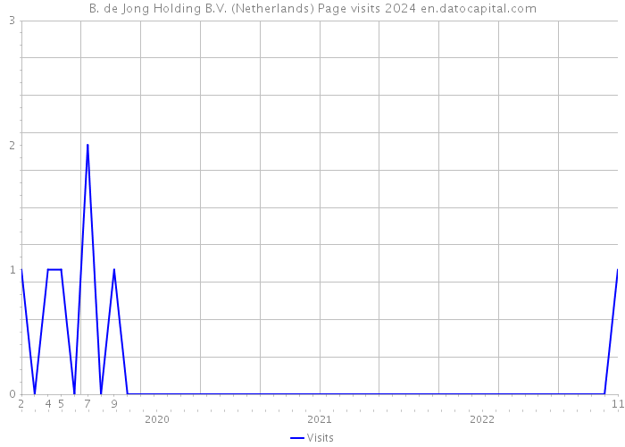 B. de Jong Holding B.V. (Netherlands) Page visits 2024 