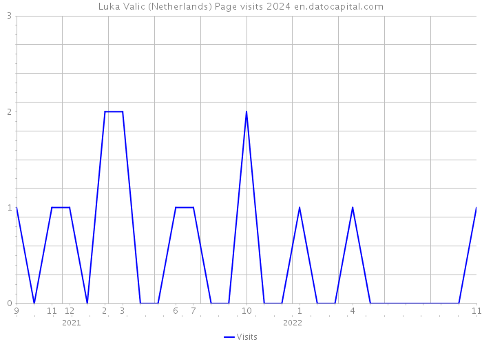 Luka Valic (Netherlands) Page visits 2024 