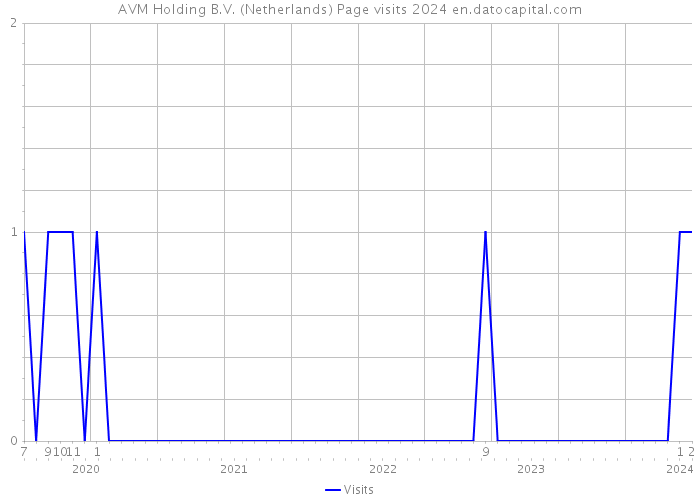 AVM Holding B.V. (Netherlands) Page visits 2024 