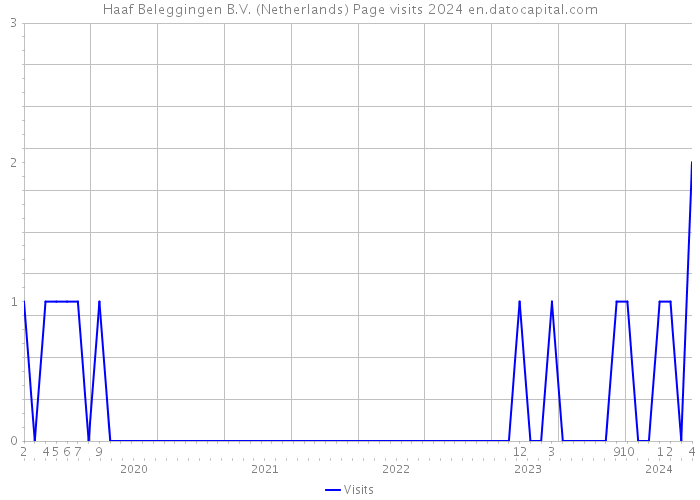 Haaf Beleggingen B.V. (Netherlands) Page visits 2024 