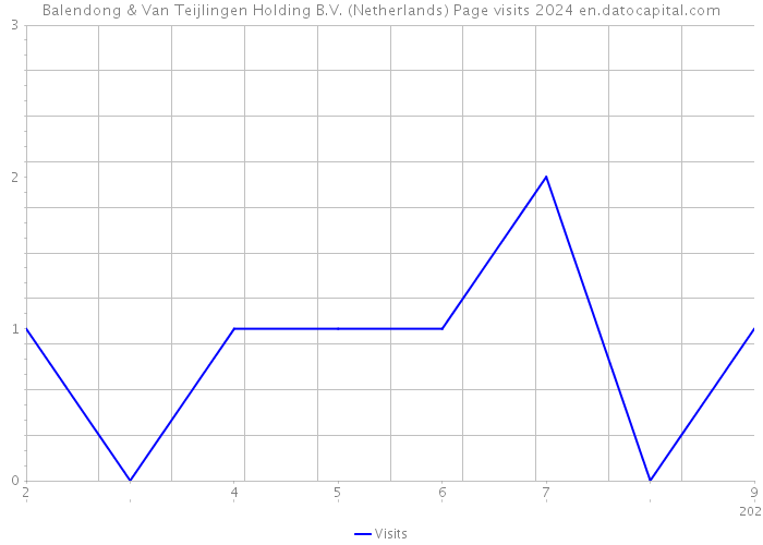 Balendong & Van Teijlingen Holding B.V. (Netherlands) Page visits 2024 