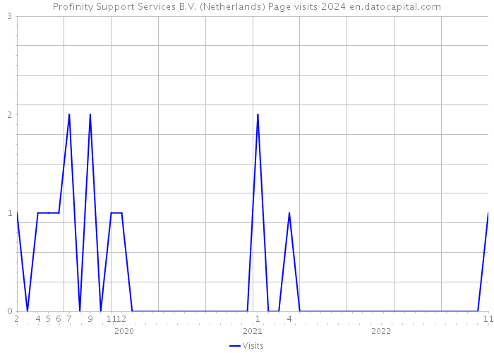 Profinity Support Services B.V. (Netherlands) Page visits 2024 