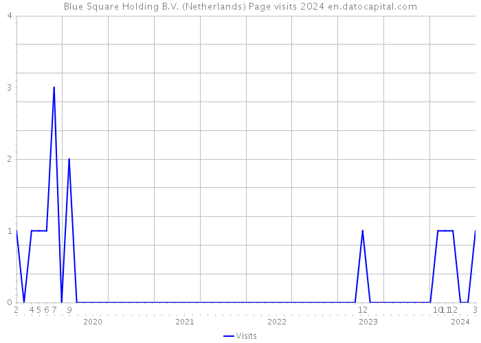 Blue Square Holding B.V. (Netherlands) Page visits 2024 