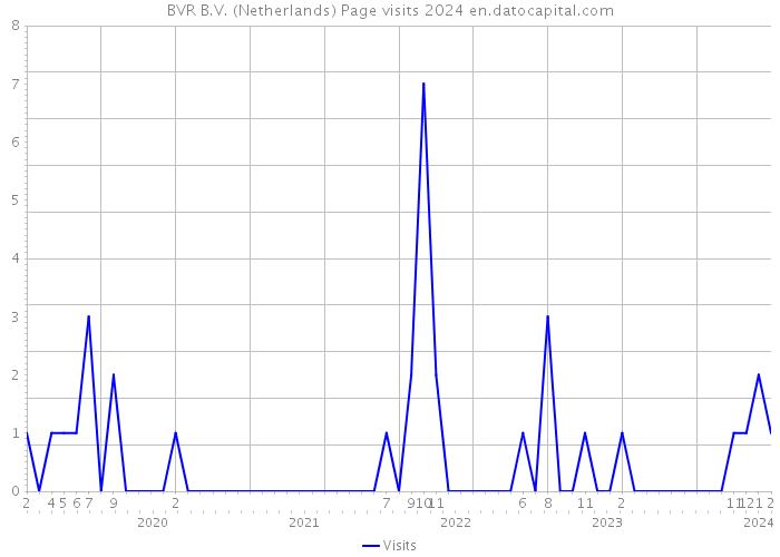 BVR B.V. (Netherlands) Page visits 2024 