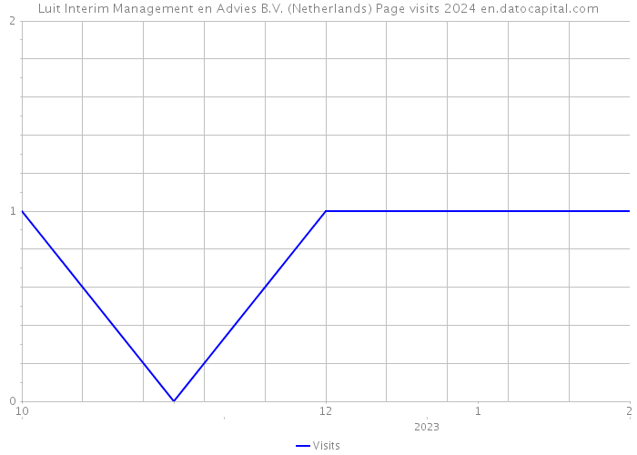 Luit Interim Management en Advies B.V. (Netherlands) Page visits 2024 