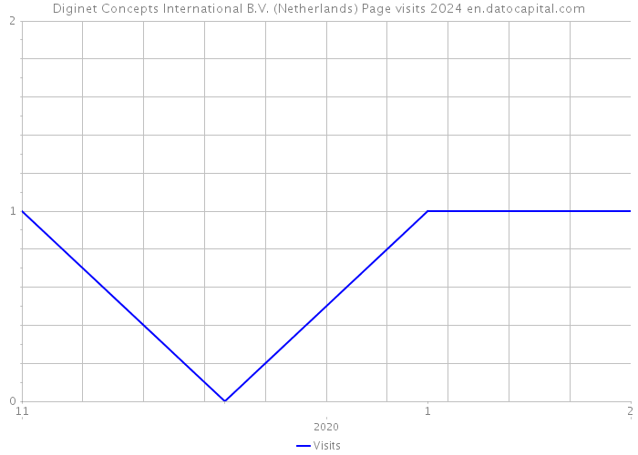 Diginet Concepts International B.V. (Netherlands) Page visits 2024 