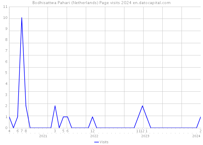 Bodhisattwa Pahari (Netherlands) Page visits 2024 