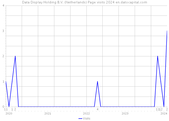 Data Display Holding B.V. (Netherlands) Page visits 2024 