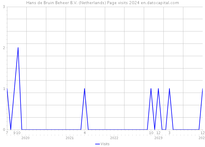 Hans de Bruin Beheer B.V. (Netherlands) Page visits 2024 