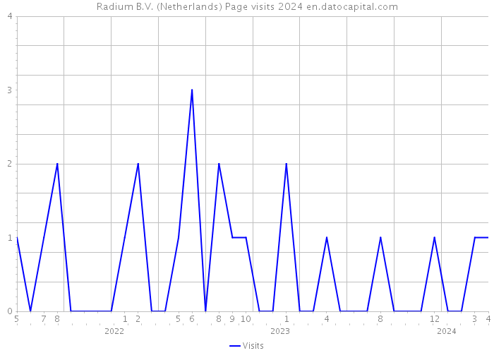 Radium B.V. (Netherlands) Page visits 2024 