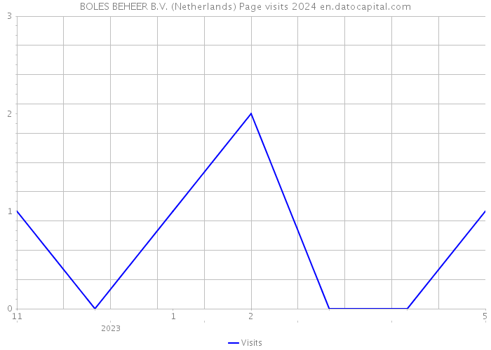BOLES BEHEER B.V. (Netherlands) Page visits 2024 