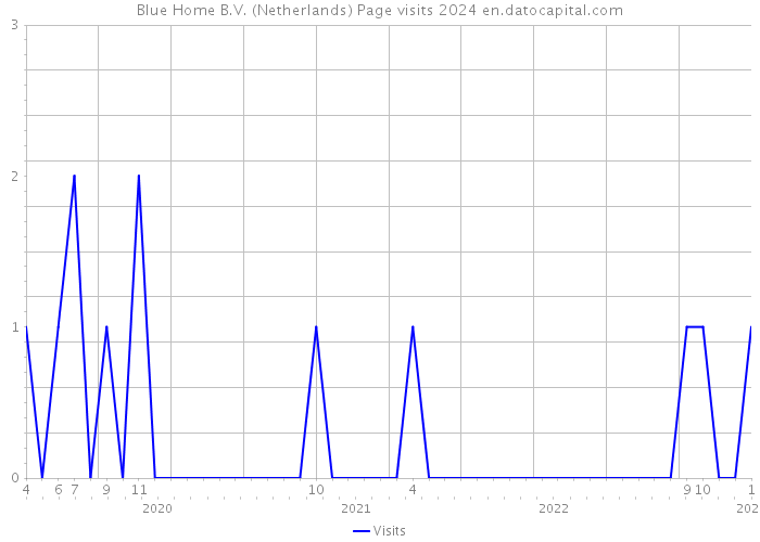 Blue Home B.V. (Netherlands) Page visits 2024 
