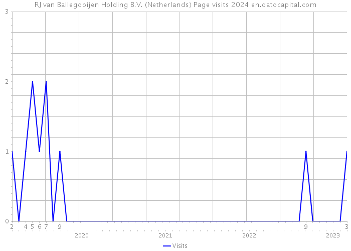 RJ van Ballegooijen Holding B.V. (Netherlands) Page visits 2024 