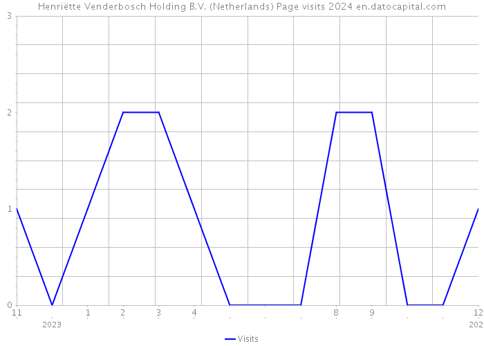 Henriëtte Venderbosch Holding B.V. (Netherlands) Page visits 2024 