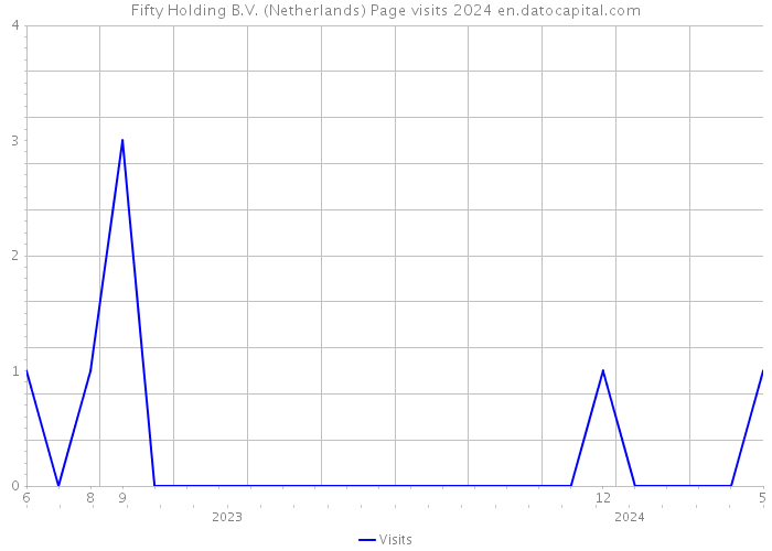 Fifty Holding B.V. (Netherlands) Page visits 2024 