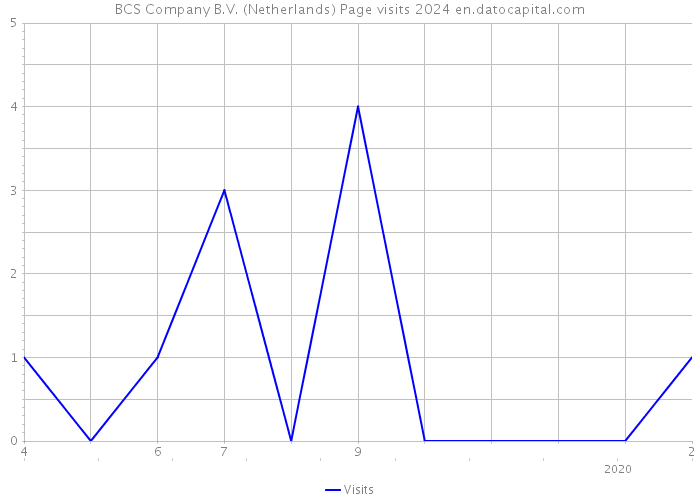 BCS Company B.V. (Netherlands) Page visits 2024 
