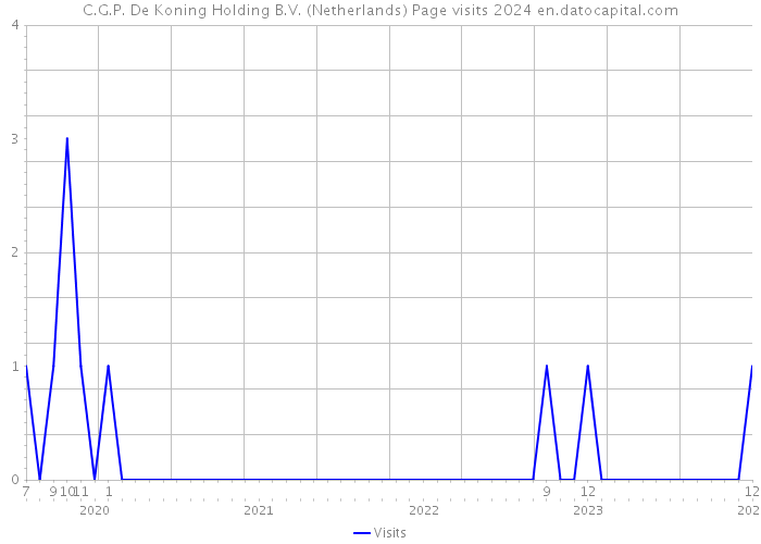 C.G.P. De Koning Holding B.V. (Netherlands) Page visits 2024 