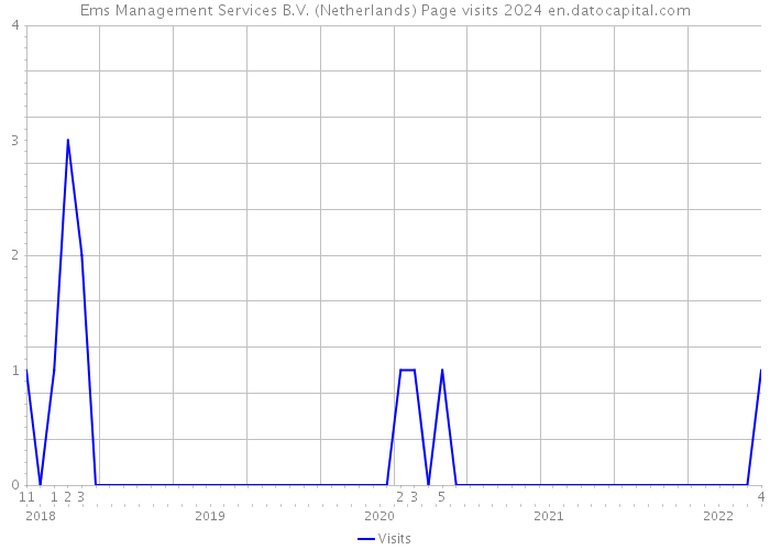 Ems Management Services B.V. (Netherlands) Page visits 2024 
