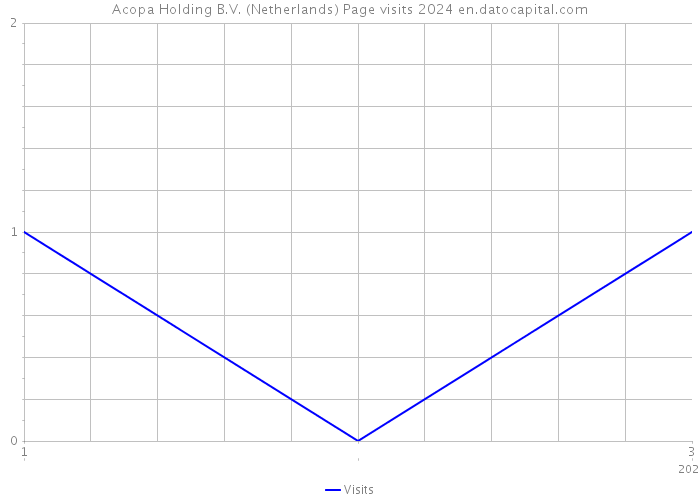 Acopa Holding B.V. (Netherlands) Page visits 2024 