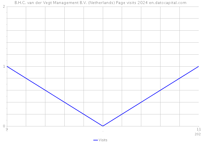 B.H.C. van der Vegt Management B.V. (Netherlands) Page visits 2024 